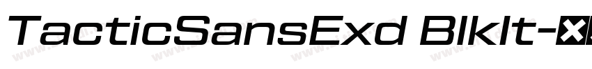 TacticSansExd BlkIt字体转换